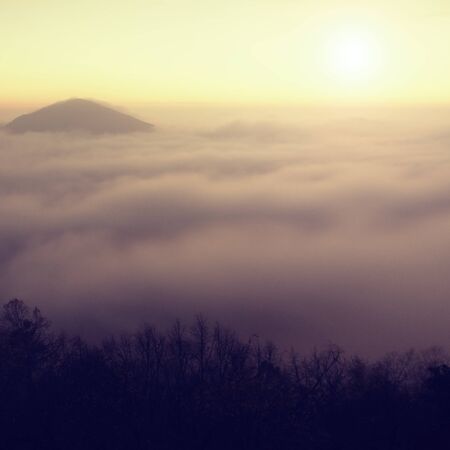 Colorful fogy sunrise in a countryside. Hill increased from fog, the fog is colored to golden and orange.の写真素材