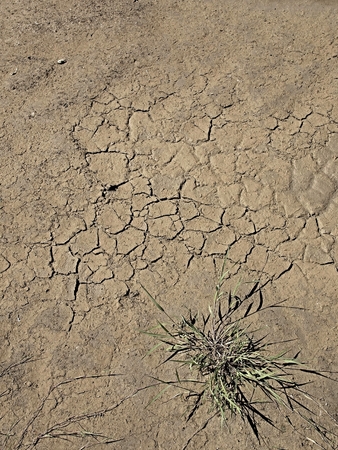 Dry cracked clay of wheat field. Dusty ground with deep cracksの写真素材