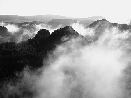 View into deep misty valley in Saxony Switzerland. Sandstone peaks increased from foggy background. Black and White picture.の写真素材