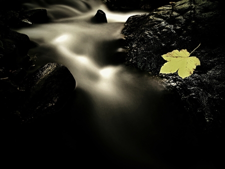 Mountain stream with maple leaf on basalt boulder. Symbol of autumn.の写真素材