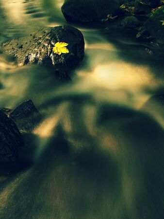 Gravel in water of mountain river covered by colorful aspen and beech leaves. Fresh green leaves on branches above water make green reflection.の写真素材