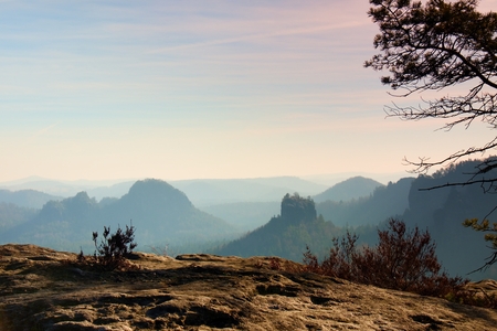 The peak of cliff with bush of heather. Beautiful valley of rocky mountains park. Hills increased from fresh humidity.の写真素材