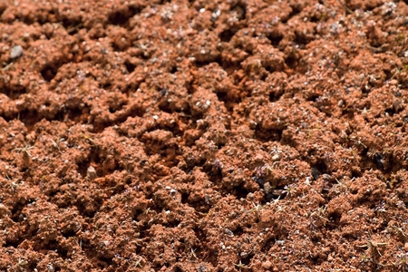 Old dry red crushed bricks surface on outdoor tennis ground.の写真素材