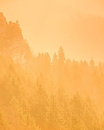 Dreamy fogy landscape, gentle orange misty sunrise in a beautiful valley of Saxony Switzerland park. Sharp hill increased from fog.の写真素材