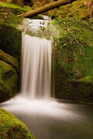 Cascade on small mountain stream. Cold crystal  water is falling over mossy boulders into small pool.の写真素材