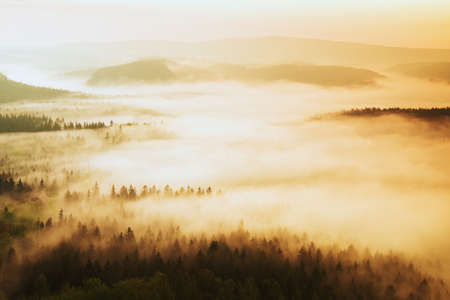 Majestic morning mountain landscape. Dramatic overcast sky. Saxony National Park, Europe. Beauty world.の写真素材