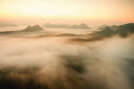 Misty melancholic morning. View into long deep valley full of fresh  spring mist. Fall landscape within daybreak after rainy nightの写真素材