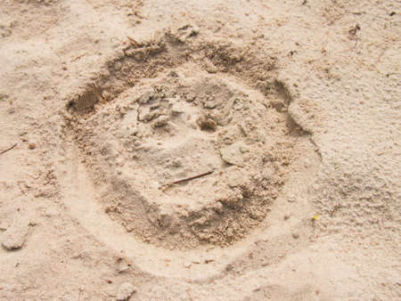 Drawn smiley face in summer beach sand.の写真素材