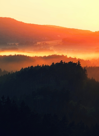 Sunset over the hills with trees and fog, retro tonedの素材｜ストックフォト、写真素材の ...