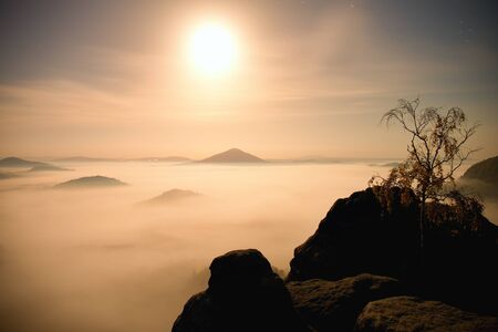 The island with tree in misty ocean. Full moon night in a beautiful mountain landscape. Increased sandstone peaks from creamy heavy fog.の写真素材