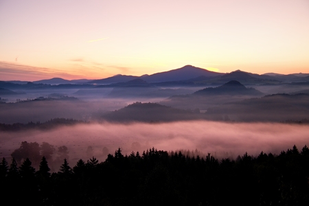 Misty daybreak in a beautiful hills. Peaks of hills are sticking out from foggy background, the fog is shinning . The fog is swinging between trees.の写真素材