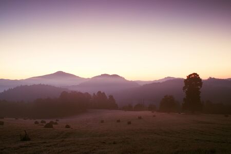 Early foggy morning at meadows. Ground frost covered grass withgrey  hoarfrostの写真素材