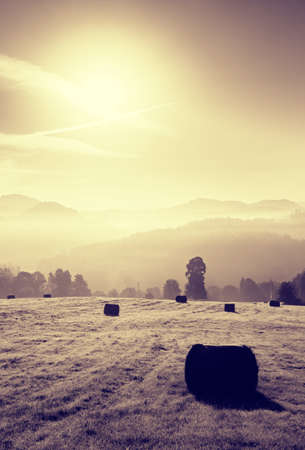Colorful autumn freeze morning at meadows. Ground frost covered grass with grey hoarfrostの写真素材