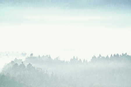 Hills and forests  lines in mountain valley during autumn sunset. Natural mountain landscape in cold mistの写真素材