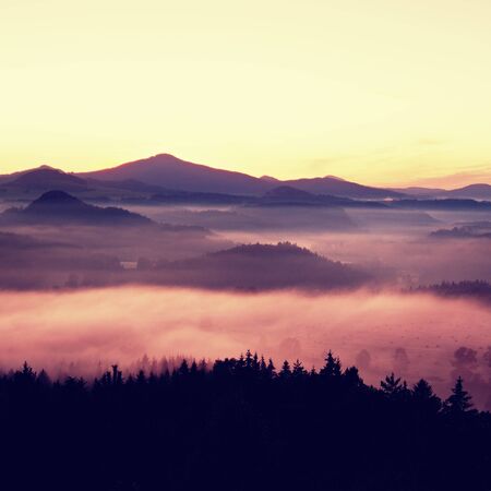 Misty daybreak in a beautiful hills. Peaks of hills are sticking out from foggy background, the fog is shinning . The fog is swinging between trees.の写真素材