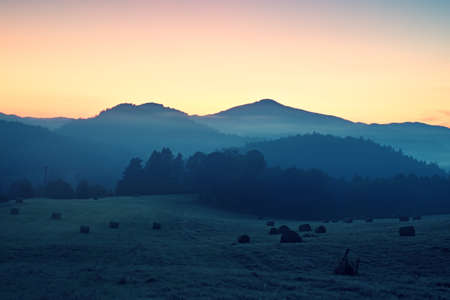 Early morning in meadows, hoarfrost on grass in  foggy valleyの写真素材
