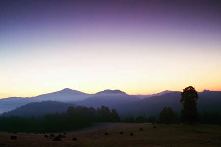 Picturesque misty sunrise in  landscape. Foggy morning meadow,の写真素材