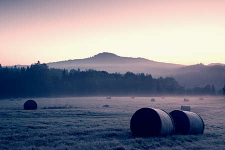 Early foggy morning at meadows. Ground frost covered grass withgrey  hoarfrostの写真素材