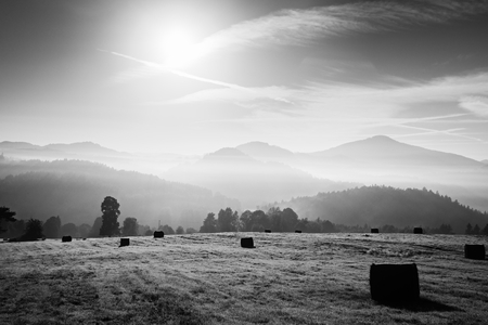 Colorful autumn freeze morning at meadows. Ground frost covered grass with grey hoarfrostの写真素材