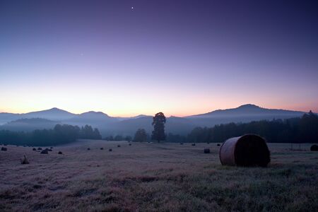 Early foggy morning at meadows. Ground frost covered grass withgrey  hoarfrostの写真素材