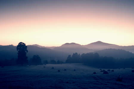 Early morning in meadows, hoarfrost on grass in  foggy valleyの写真素材