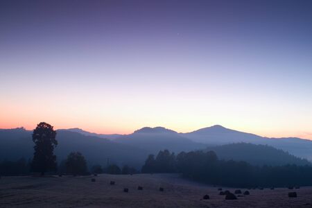 Picturesque misty sunrise in  landscape. Foggy morning meadow,の写真素材