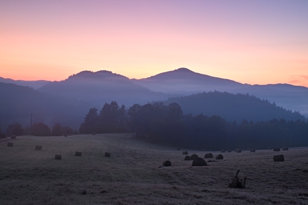 Picturesque misty sunrise in  landscape. Foggy morning meadow,の写真素材