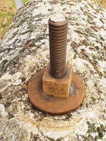 Rusty screw partly inside a concrete slab foundationScrews in Concreteの写真素材
