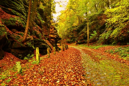 Old cobble stone way lined by stony milestones in deep gulch in autumn forest. Old orange leaves cover groundの写真素材