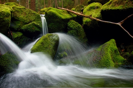 Torrent,  mountain stream with stones, rocks and fallen tree.の写真素材