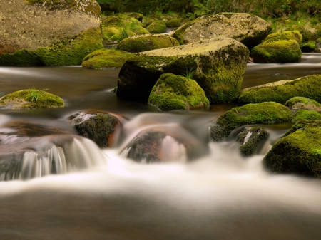 Small weir in mountain river. Big red boulders are sticking out from water with wet mossy carpet. Fresh colors of pink and milky water below stones.の写真素材