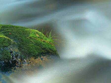 Dark rapid stream with blurred bright blue waves. Big mossy boulders in clear water of mountain...