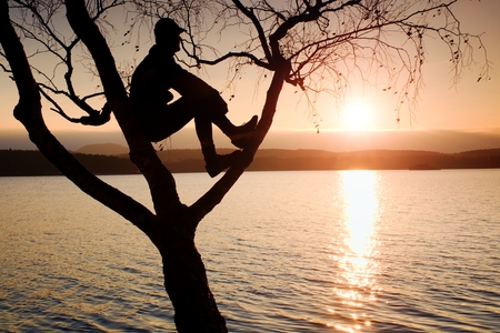 Man sit on tree. Silhouette of  lone boy with baseball cap  on branch of birch tree  in front of the sunset at shoreline.の写真素材