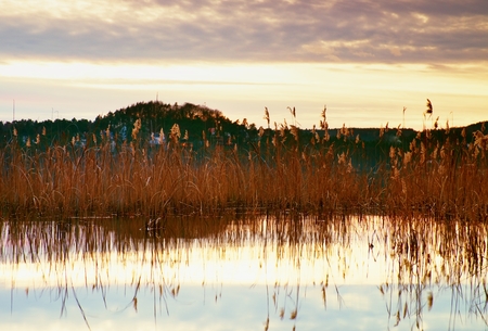 Beautiful autumn sunrise or sunset with Reflection on Lake water level. Gentle waves and reeds.の写真素材