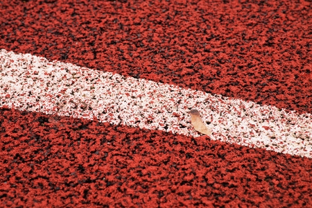 Start line. Red running racetrack on the outdoor athletic stadium