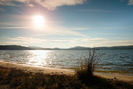 Sandy coast and bush flowers. Sunset at coastline, calm water level with gentle wavesの写真素材