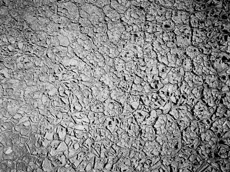 Dry field with natural texture of cracked clay. Dry cracked clay of wheat field. Dusty ground with deep cracksの写真素材