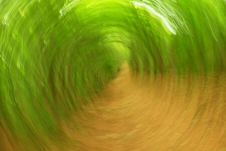 Defocused forest circle background. Blurred and de focused fresh green colors in forest, orange leaves on path. Hypnotic blurry effect.の写真素材