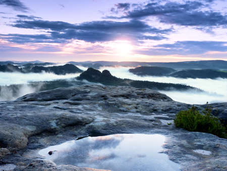 Arrayの写真素材