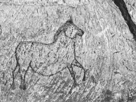 Abstract art children in sandstone cave. Black carbon paint of horses on sandstone wall, copy of prehistoric picture.の写真素材