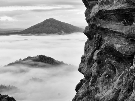 Spring misty landscape. Early morning ina beautiful mountains of the Bohemian-Saxon Switzerland. Peaks of hills Increased from creamy heavy fog.の写真素材