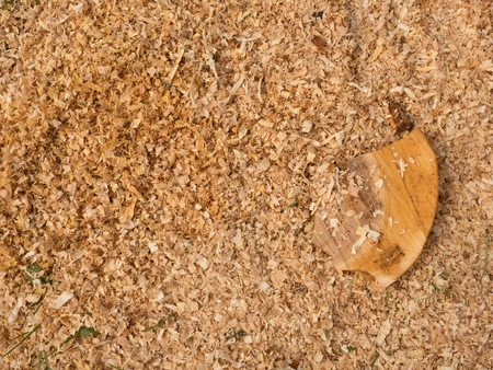 Sawdust of dry alder wood with pieces of dry brown bark on ground. Texture with details