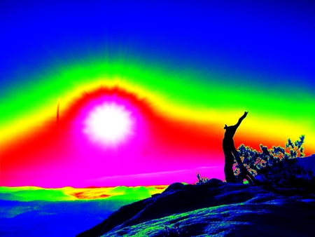 Amazing thermography photo. Autumn daybreak in sandstone rocks,broken pine tree.  Fall valleyの写真素材