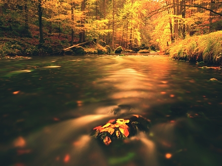 Autumn mountain river with blurred waves, mossy stones and boulders on the banks covered with colorful leaves from maples, aspens Beeches or tree.の写真素材