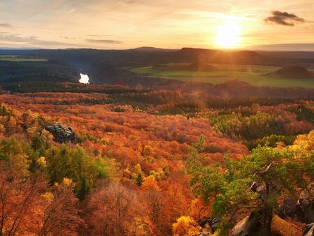 Fresh vivid colors of autumnal forest.  View over birch and pine forest to  deep valley. Autumn landscape within evening Sun at horizon.の写真素材