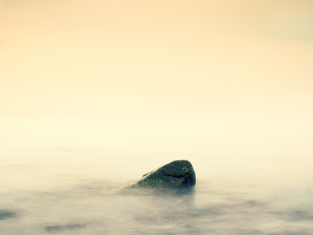 Romantic sea. Boulder stick out from smooth wavy sea. Pink horizon touch water level.の写真素材