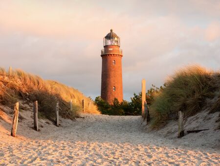 Old lighthouse above dunes and pine tree before sunset. Tower illuminated with strong warning light. Lighthouse built from red bricks, gallery with iron handrail around glass cover of spotlight.の写真素材