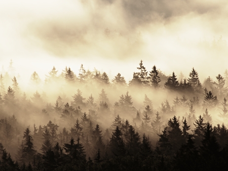 Beautiful autumnal landscape with mountain view, morning foggy valley within sunrise. Foggy strips...