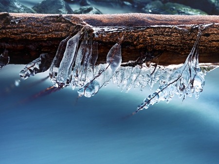 Icicles hang on twigs and icy bark above chilli rapid stream. Winter mountain stream, long thin icicles are hanging on fallen trunk.の写真素材