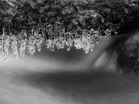 Icicles above freeze winter mountain stream. Winter season at the river, shinning icicles are hanging on fallen trunk above milky water level.の写真素材